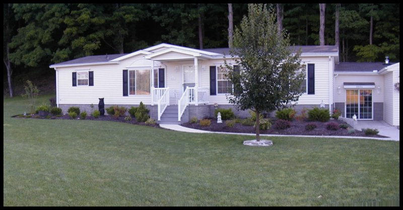 Landscaping Job